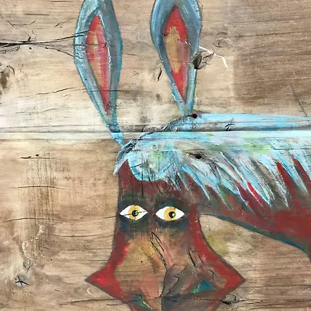 Apartamentos La Selva * Cádiz