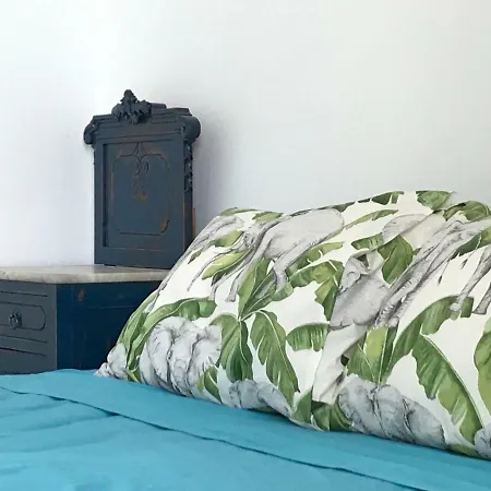 Apartamentos La Selva Apartment
