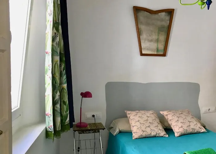 Apartamentos La Selva Cádiz